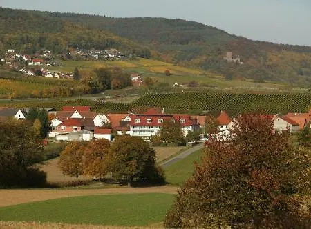 Hauer 4* Pleisweiler-Oberhofen