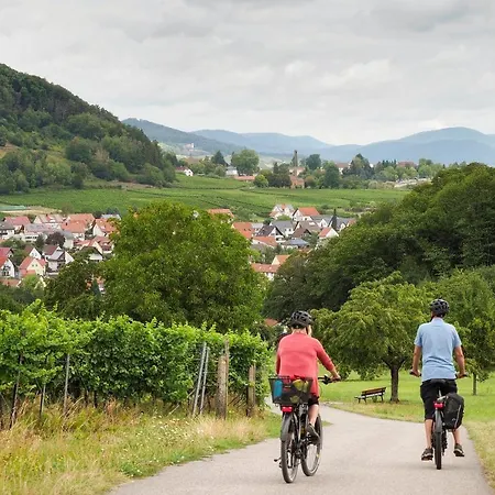Hauer Pleisweiler-Oberhofen