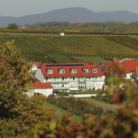 Hauer Pleisweiler-Oberhofen