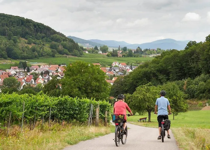 Hauer Pleisweiler-Oberhofen