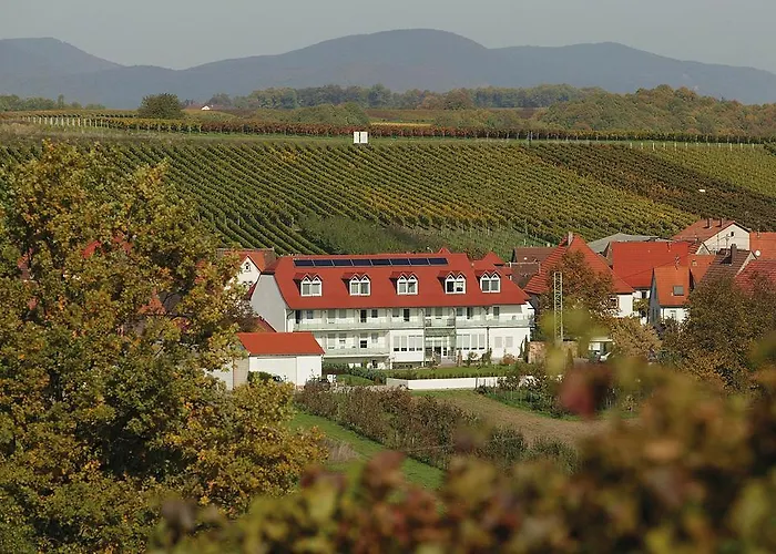 Hauer Pleisweiler-Oberhofen